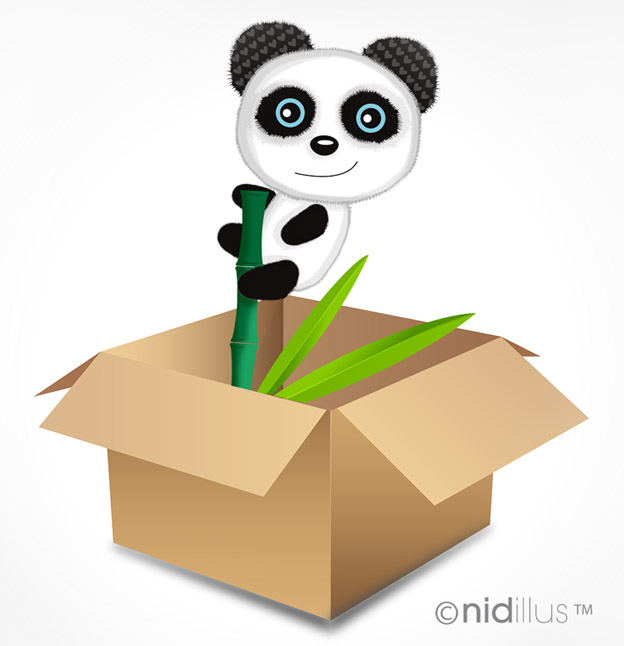 carton panda demenagement